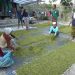 Momen Sakral HUT ke 23 Kota Batu,  Pj Wali Kota Batu Menyebut Bangga dari Berbagai Capaian yang Diraih 