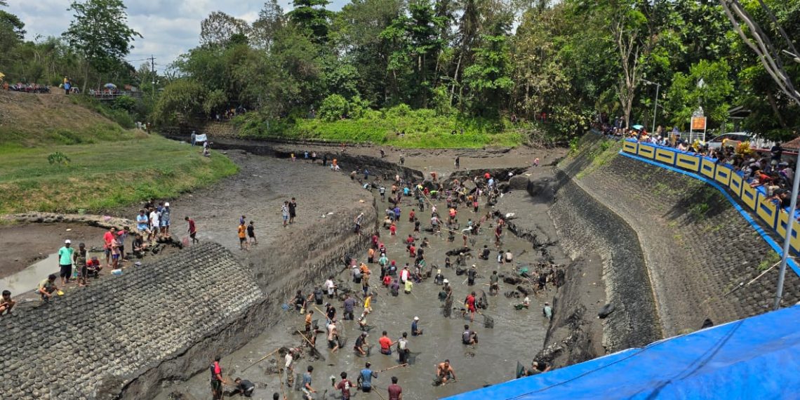 Sejumlah DAM Besar di Banyuwangi Dikeringkan, Persiapan Musim Tanam 2024-2025 1 Proses pengeringan DAM di Banyuwangi