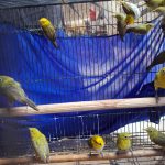 WhatsApp Image 2024-10-19 at 10.41.36