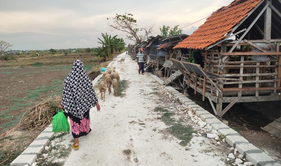 Pembangunan Jalan Usaha Tani di Desa Pegundan Gresik.