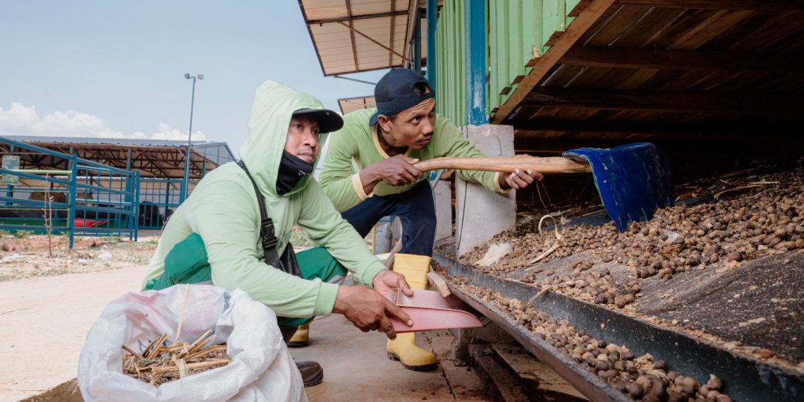Pembuatan pupuk ini bagian dalam program pertanian terpadu SIPANDU DESI yang dilakukan PLN NP UP Tanjung Awar-awar. (foto: ist)