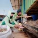 Program SIPANDU DESI PLN NP Beri Kemajuan Agrikultur Terpadu di Tuban