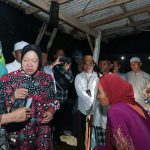 WhatsApp Image 2024-11-12 at 15.22.27