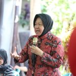 WhatsApp Image 2024-11-15 at 16.15.55