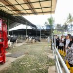 WhatsApp Image 2024-12-24 at 10.06.34