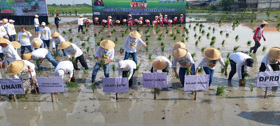 Dukung Ketahanan Pangan, Bupati Gresik Apresiasi Program "Jaksa Sahabat Tani" Inisiasi Kejati Jatim 2