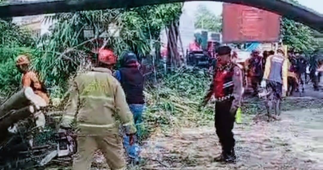 Bersama Instansi Terkait Tangani Pohon Tumbang, Begini Kata Kapolres Batu 1 Kolaborasi Polres Batu dengan Instansi terkait bersama masyarakat saat tangani pohon tumbang di Kota Batu.(Ist)