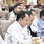 WhatsApp Image 2025-02-15 at 09.49.20