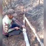 WhatsApp Image 2025-02-28 at 14.05.00