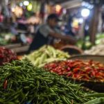 WhatsApp Image 2025-03-28 at 16.09.39