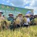 Mayoritas Pompa Air Sawah Sudah Bertenaga Listrik, Tidak Lagi Berbahan Bakar Minyak