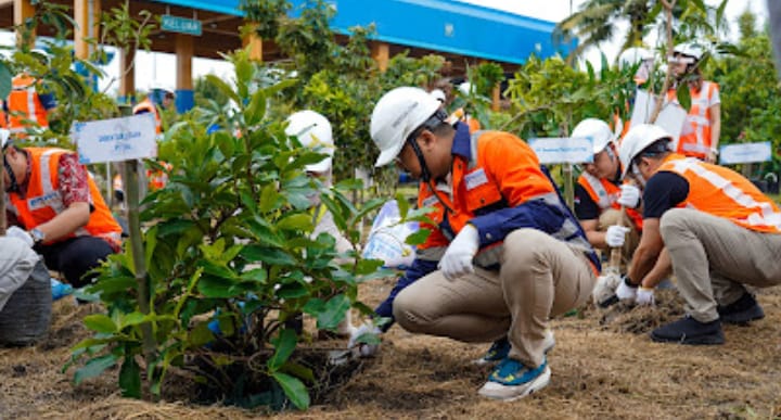 ESG Journey & Transformasi: TPS Ajak Pelanggan & Pemangku Kepentingan Tanam Pohon Buah 1 Bibit-bibit ditanam bersama oleh masing-masing entitas yang mengirimkan bibit pohon buah di taman pembibitan buah di area gate domestik TPS. (foto: ist)