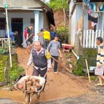 WhatsApp Image 2025-05-19 at 10.34.55