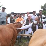 WhatsApp Image 2025-05-20 at 09.46.22