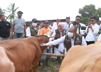 Surplus Hewan Ternak, Banyuwangi Pasok ke Berbagai Daerah di Indonesia