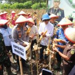 WhatsApp Image 2025-05-20 at 13.19.44