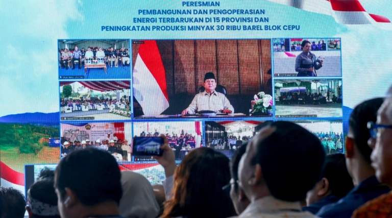 Prabowo Resmikan 55 Proyek Pembangkit EBT & Program Lisdes PLN