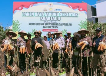 Pelindo Petikemas Siapkan Juru Sembelih Halal Jelang Iduladha 2025