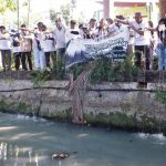 Dies Natalies ke-44 Unitomo: Bersih-Bersih Sungai & Tanam Pohon Tabebuya IMG-20250720-WA0035