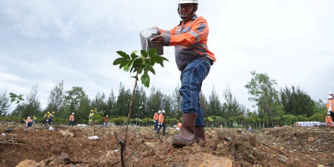 Penanaman bibit pohon mahoni daun kecil di lahan bekas tambang Pabrik Lhoknga, Kab. Aceh Besar untuk reklamasi pemulihan fungsi tempat hidup bagi keanekaragaman hayati. (foto: ist)