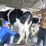 WhatsApp Image 2025-08-09 at 11.17.45