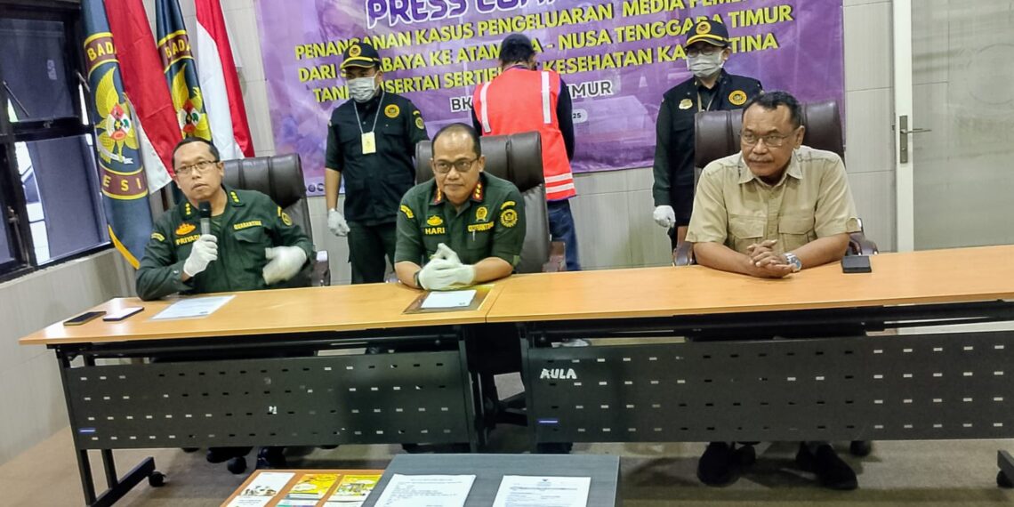 Konferensi pers pengungkapan kasus penyelundupan puluhan hewan dengan tersangka DVA (belakang). (foto: hari/bidik.news)