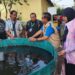 YBM PLN UIT JBM Sebar Manfaat Melalui Budidaya Ikan Lele di Pasuruan