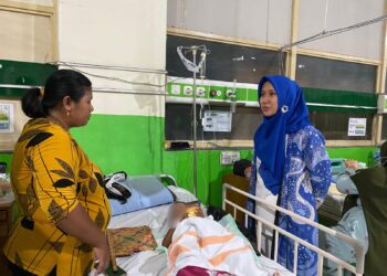 PLN UIT JBM Gercep Pulihkan Jaringan Transmisi Usai Banjir Bandang di Bali