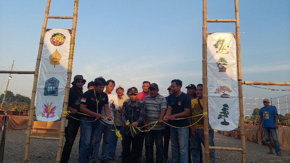 Kolaborasi dengan Pemdes Cerme Kidul, Komunitas Grumbul Cerme Gelar Jemur Bonsai 1