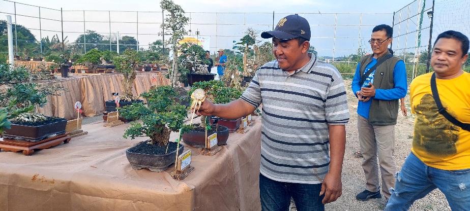 Kolaborasi dengan Pemdes Cerme Kidul, Komunitas Grumbul Cerme Gelar Jemur Bonsai 3