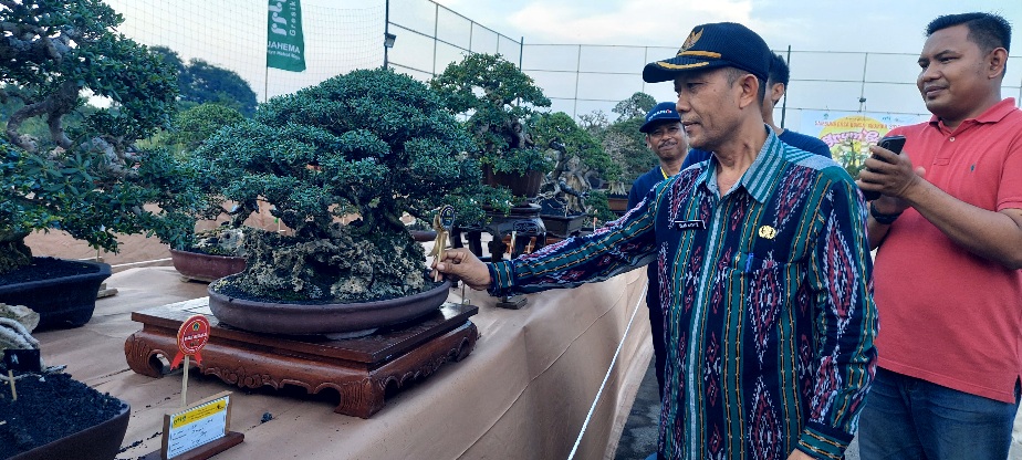 Kolaborasi dengan Pemdes Cerme Kidul, Komunitas Grumbul Cerme Gelar Jemur Bonsai 2