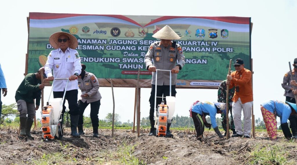 Banyuwangi Terus Gonjot Tanam Jagung, Produksinya Kini Tembus 199 Ton 1 Kapolresta Banyuwangi Kombe Pol Rama Samtama Putra bersama Wabup Mujiono saat ceremony tanam jagung di Kelurahan Sobo