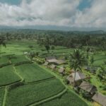 WhatsApp Image 2025-11-04 at 17.08.45