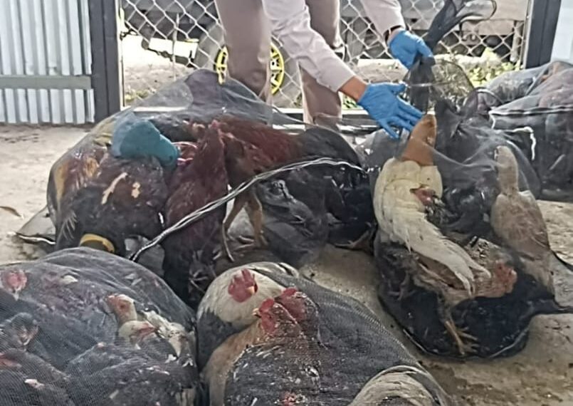 BKGN 2025 Beri Perawatan & Konsultasi Gigi/Gusi Gratis ke 28.000 Masyarakat