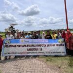 WhatsApp Image 2025-11-28 at 10.49.03