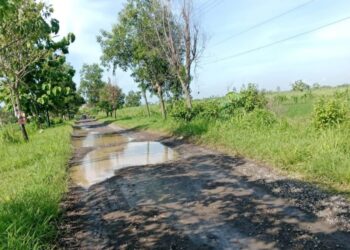 Akses Utama Brangkal–Jombangdelik Rusak Berat, Pemdes Harap Pemerintah Daerah Prioritaskan Pembangunan Jalan Rusak