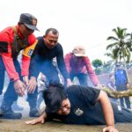 WhatsApp Image 2025-12-09 at 15.11.20