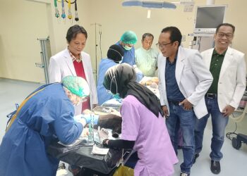 FKH Unair Kastrasi Kucing Liar, Upaya Cegah Zoonosis & Kendalikan Populasi di Kampus