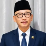 suli-daim