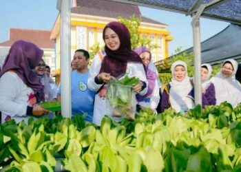 Sejumlah Lansia Diajak Panen Sayur dan Buah Serta Menangkap Ikan di Kolam