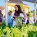 Sejumlah Lansia Diajak Panen Sayur dan Buah Serta Menangkap Ikan di Kolam