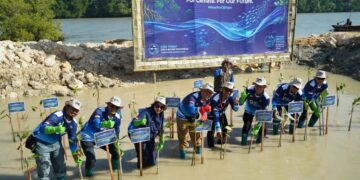 Hari Lingkungan Hidup 2026, JIIPE Tanam 1.000 Mangrove dan Perkuat Monitoring Lingkungan