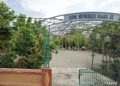 Adiwiyata Tonggak Budaya Lingkungan Asri di Sekolah