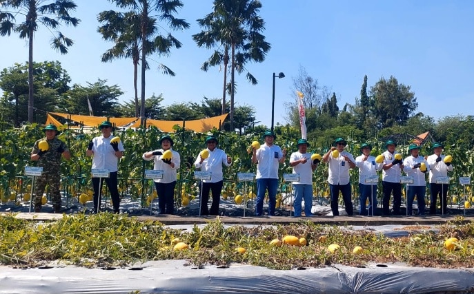 Usung Tema “Heritage of Agriculture”, Petrokimia Gresik Perkuat Ketahanan Pangan Lewat PAE 2026 2 Usung Tema “Heritage of Agriculture”, Petrokimia Gresik Perkuat Ketahanan Pangan Lewat PAE 2026 1
