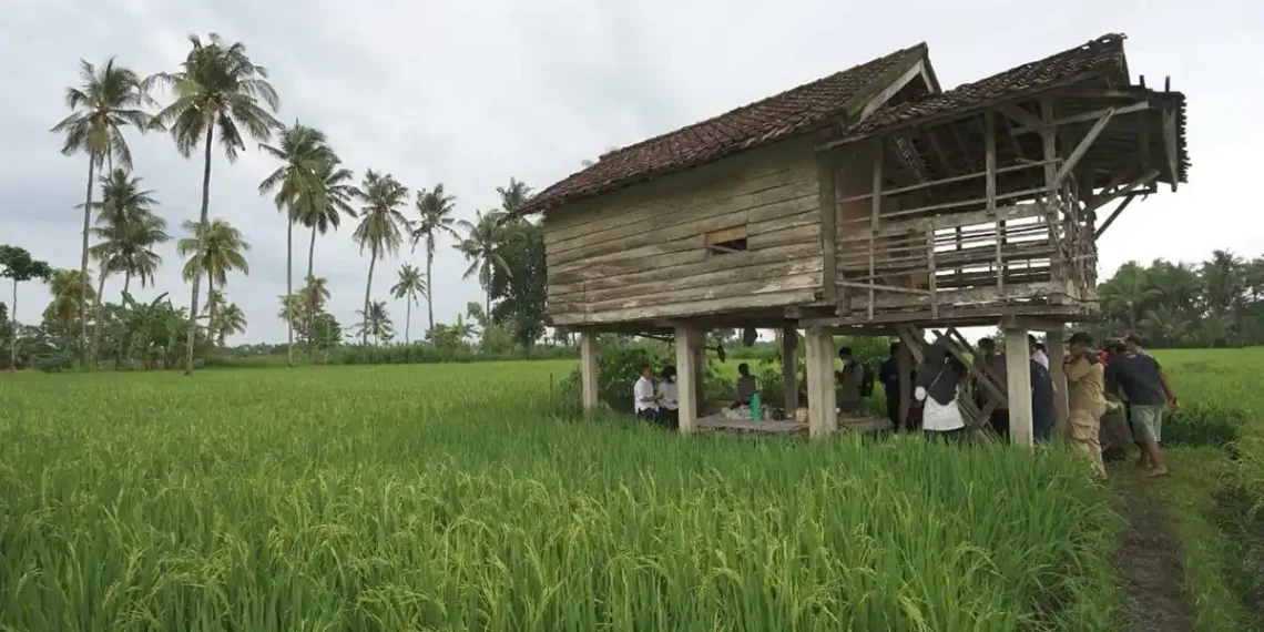 Petugas saat memantau salah satu lahan pertanian di Banyuwangi (nng)