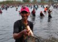 Tradisi Ngubek Srumbung, Ratusan Warga Bulangan Gresik Berburu Ikan Gratis