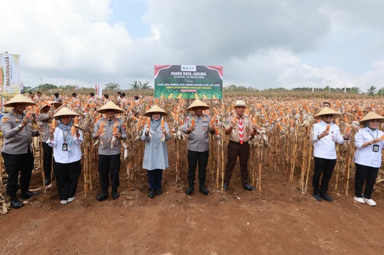 Panen Raya Jagung Kuartal III, Kapolda Jatim Apresiasi Konsistensi Banyuwangi Jaga Surplus Pangan