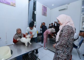 Cegah Penyakit Rabies, Ratusan Hewan Peliharaan di Banyuwangi di Vaksin