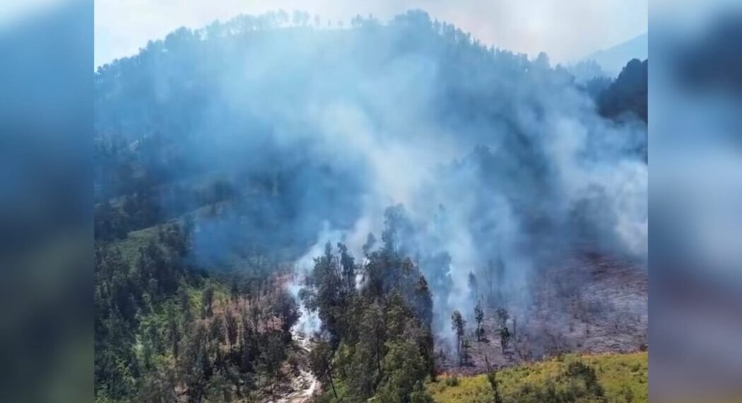 Banyuwangi Tetapkan Status Darurat Bencana Kebakaran Hutan TWA Kawah Ijen